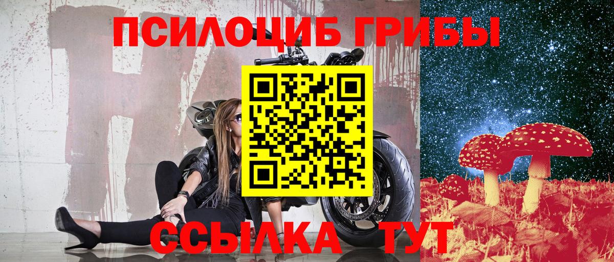 Галлюциногенные грибы мицелий Бийск